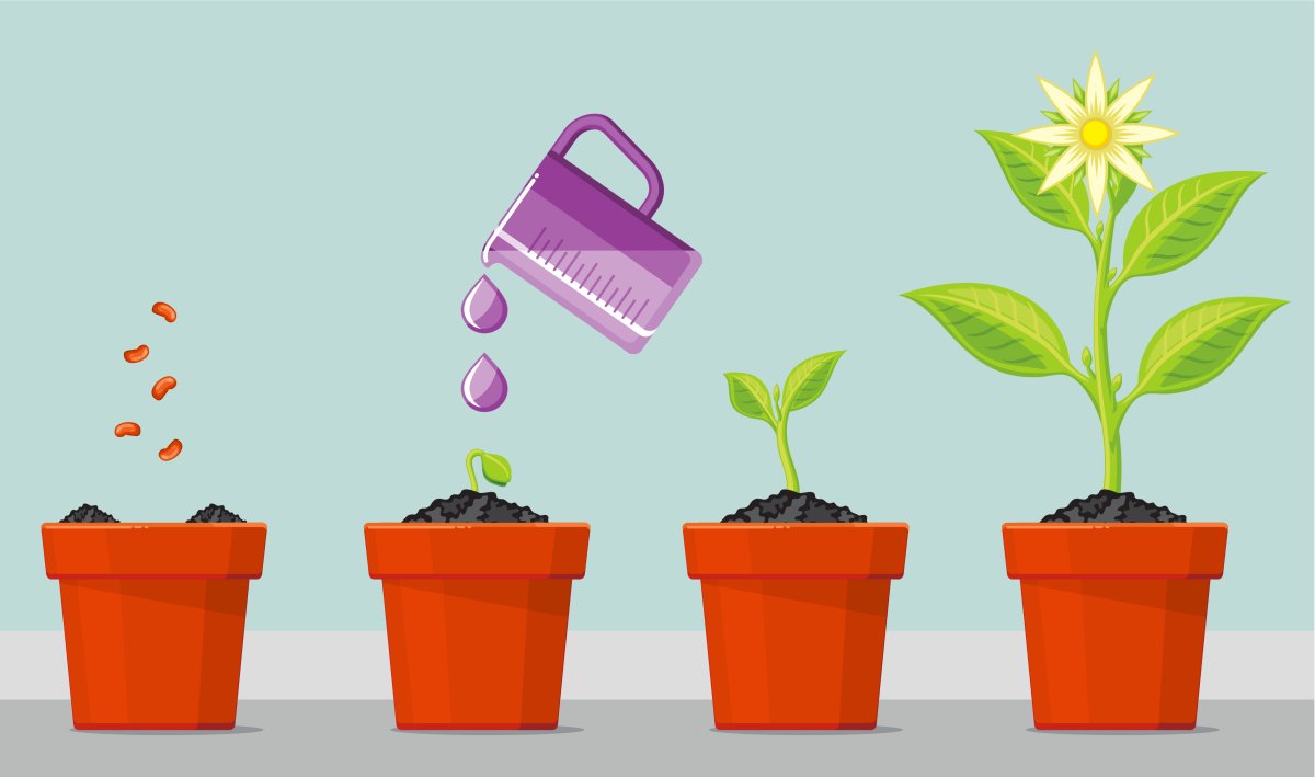 Алгоритм посадки растений