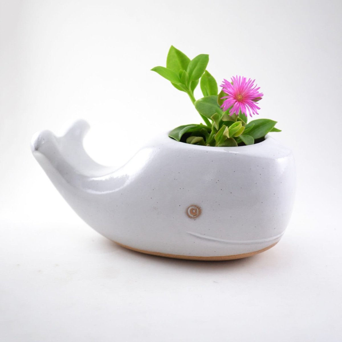 Маленькие горшки для цветов