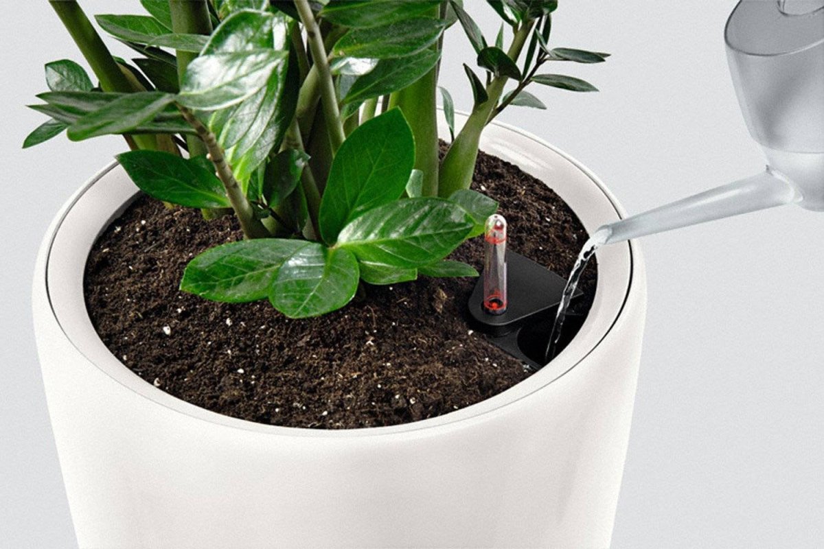 Lechuza 32 Rondo Premium