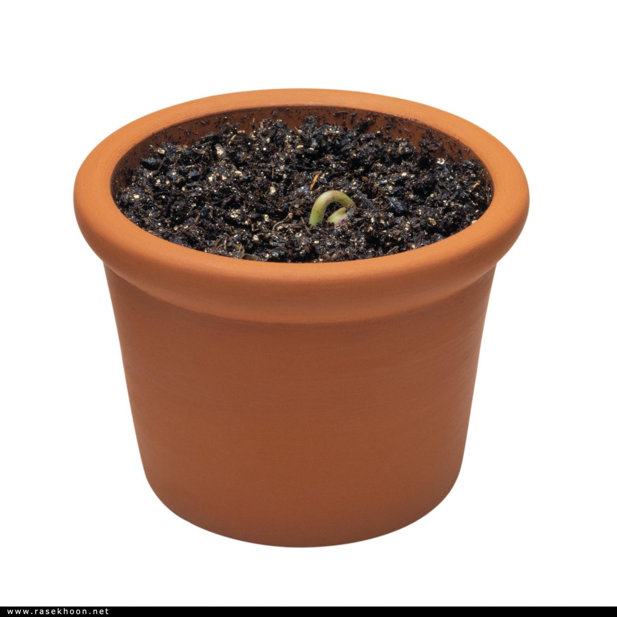 Цветочный горшок с землей