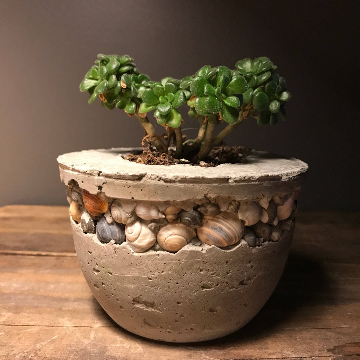 Горшки из цемента