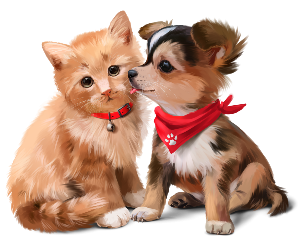 Анимированные открытки приветик