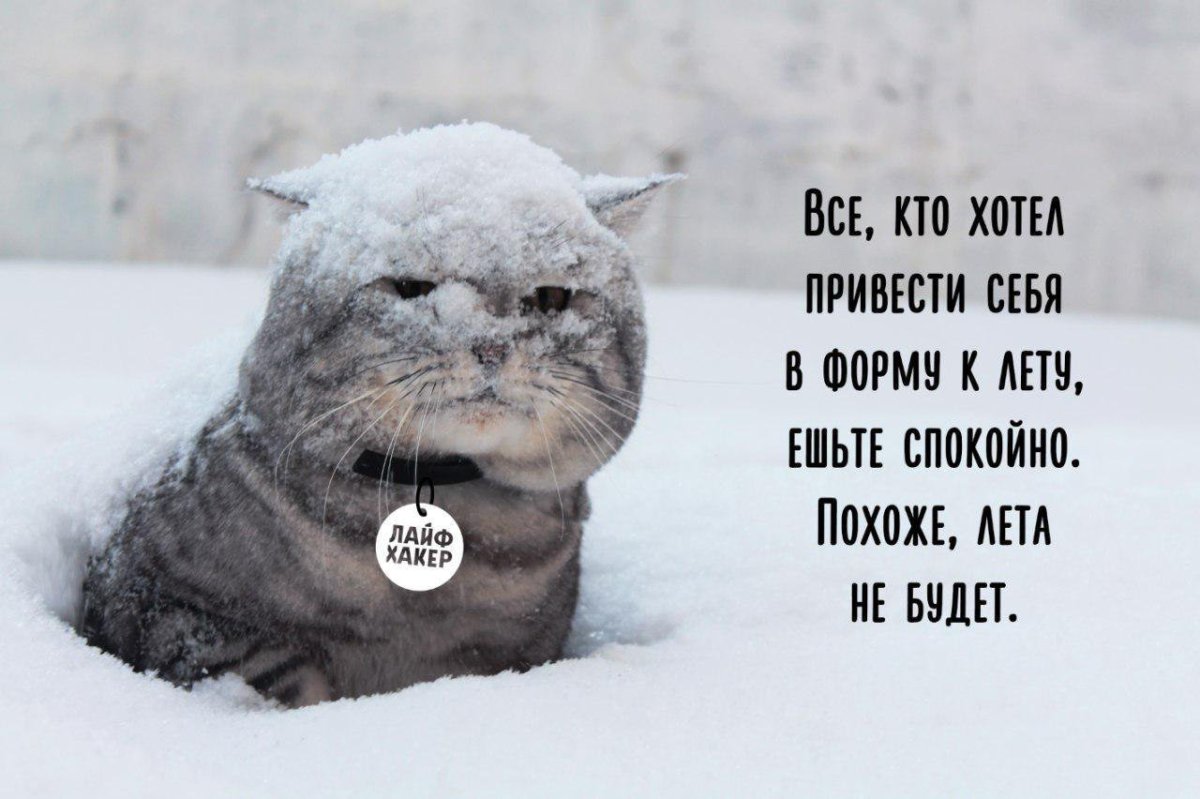 Холодное лето