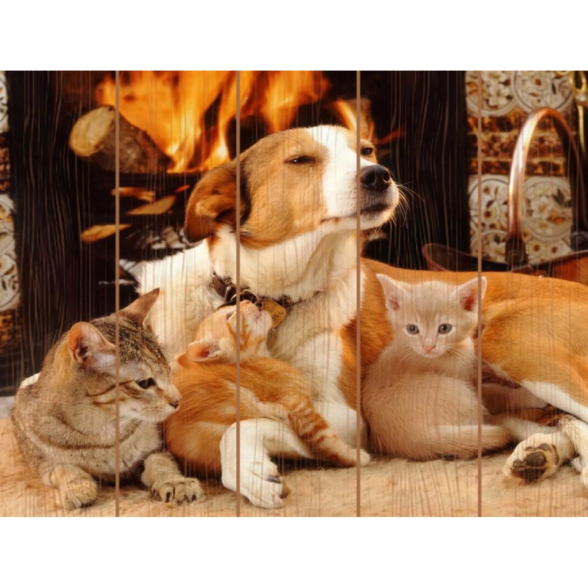 Алмазная мозаика Йоркширский терьер