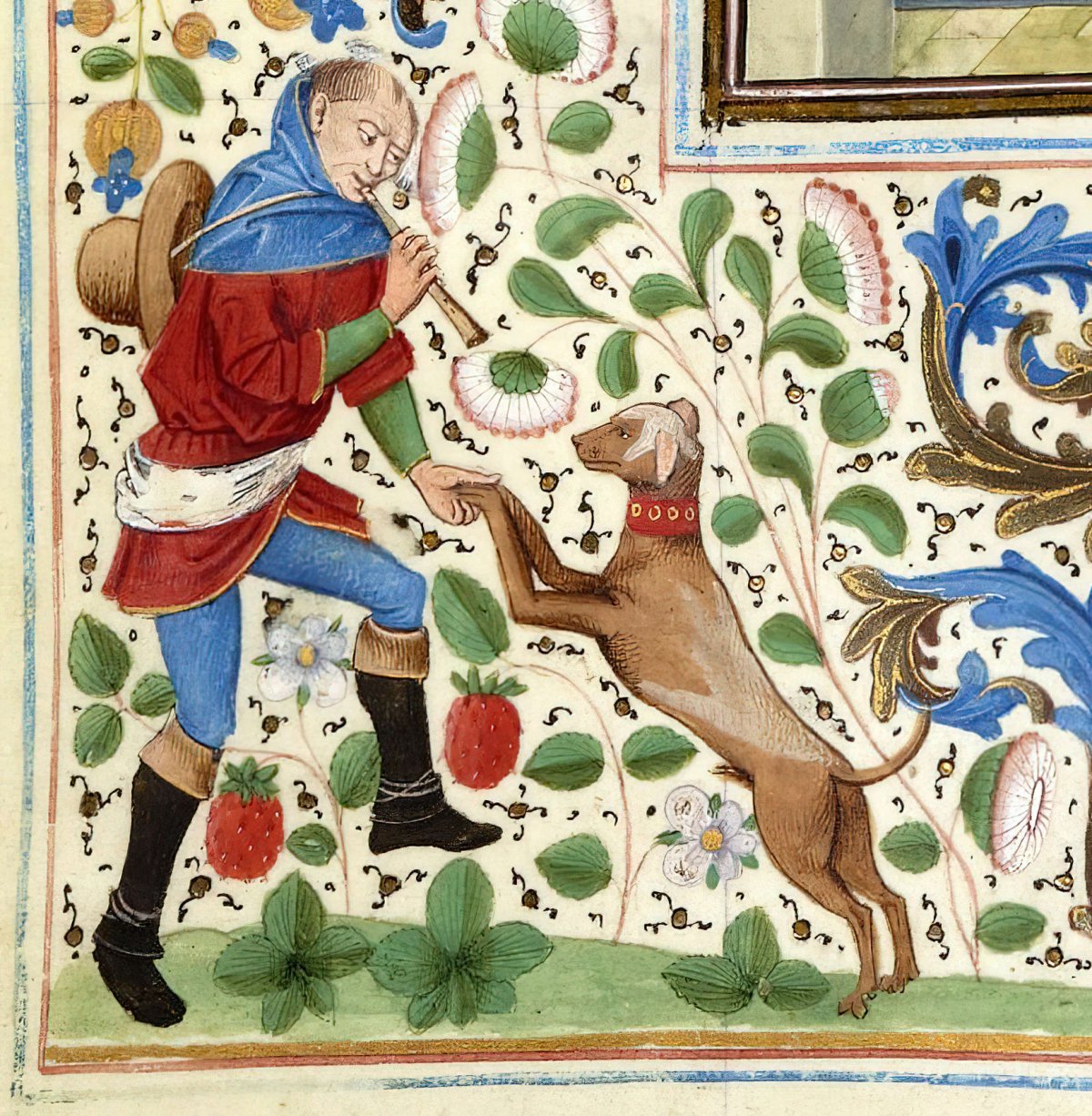 Собаки в средние века