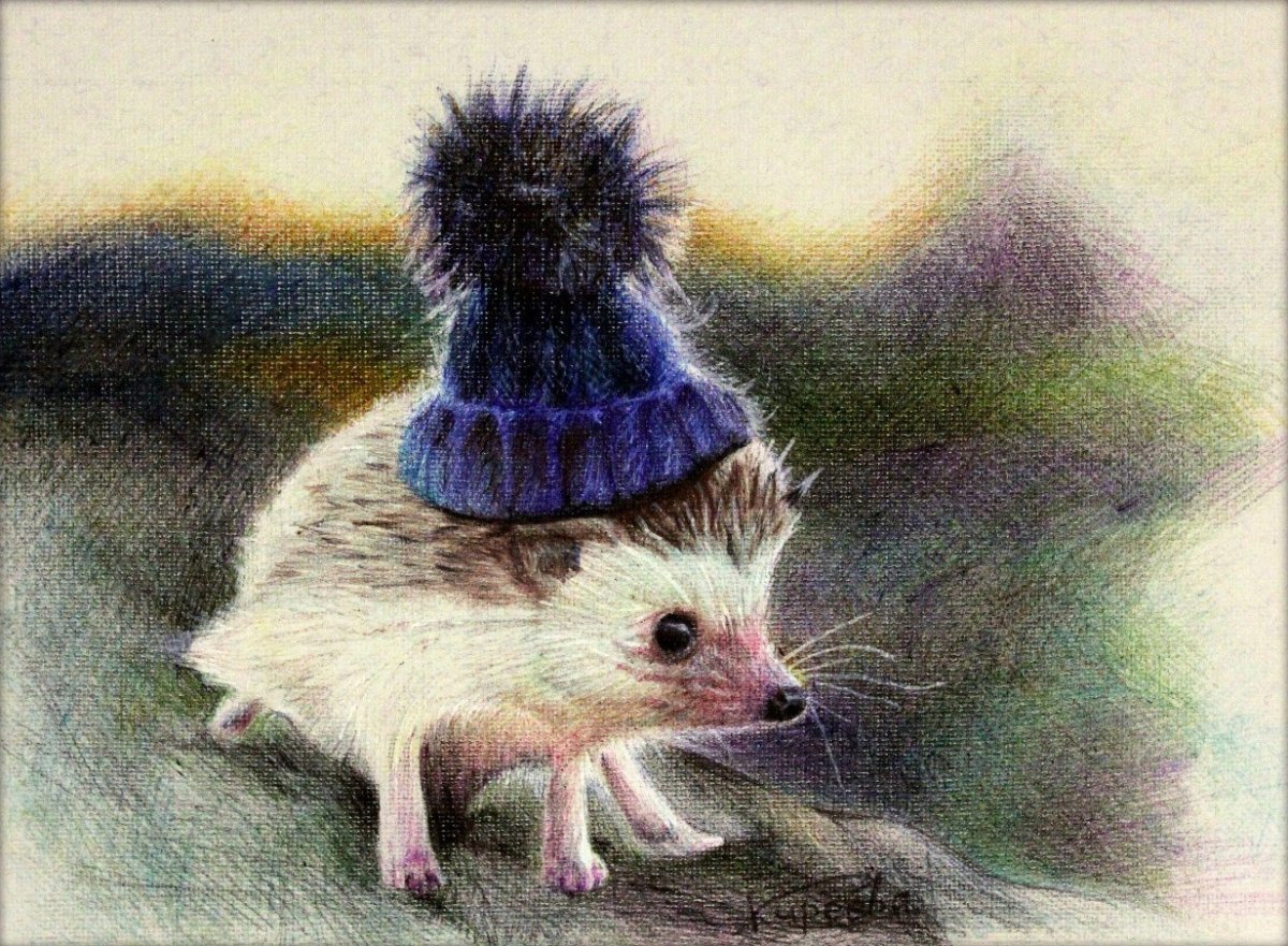 Ежик со скрипкой