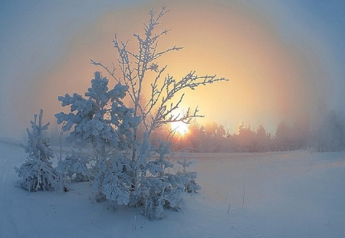 Морозное декабрьское утро