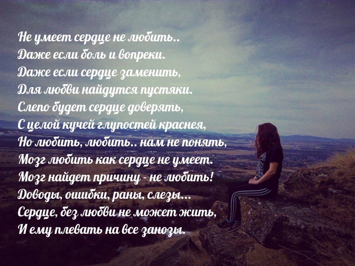 Цитаты про любовь