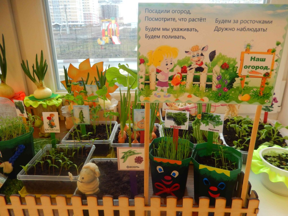 Огород на окне