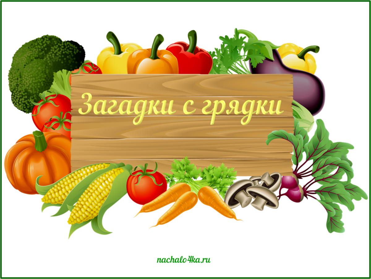 Фрукты и овощи таблички для детей