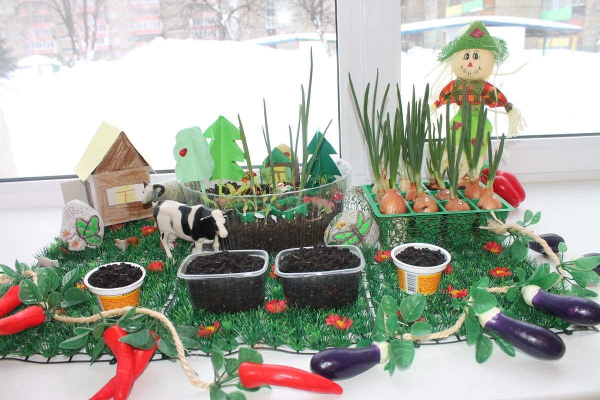 Огород на окне в детском саду
