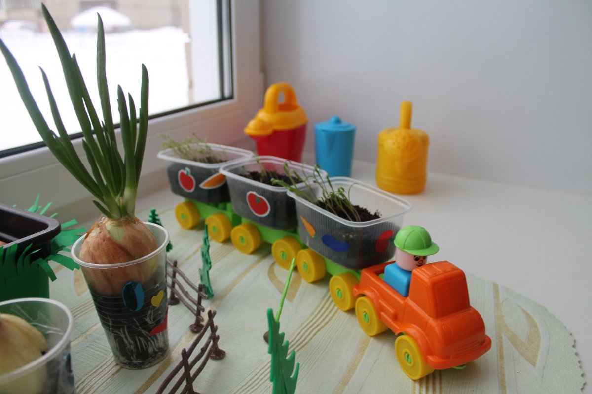 Огород на окне в детском саду