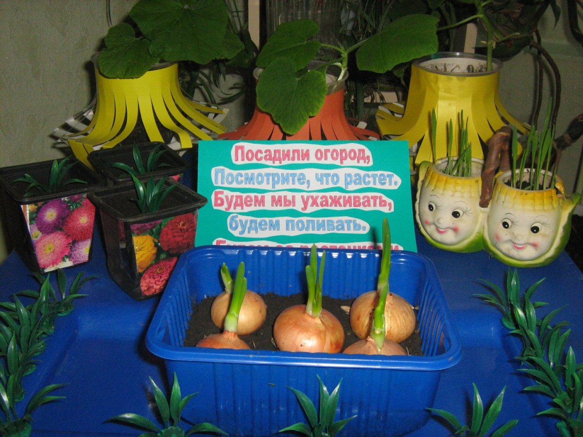 Таблички для огорода на окне