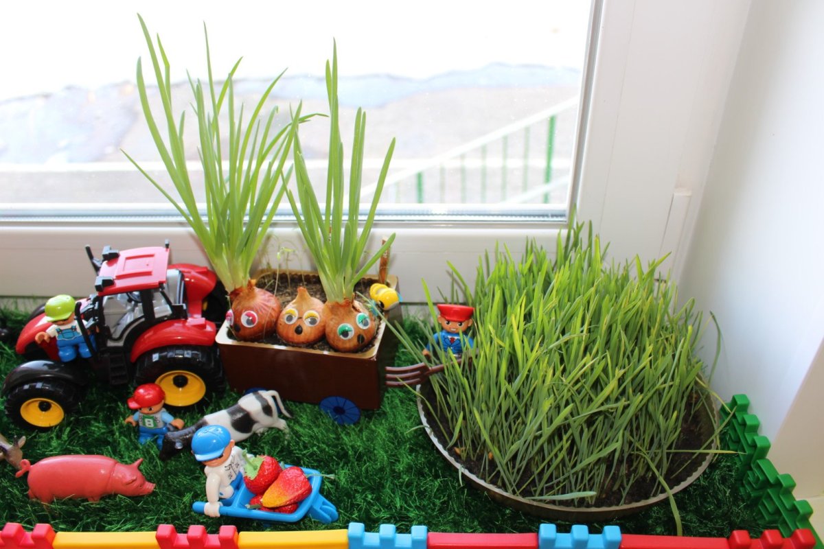 Огород на подоконнике в детском саду