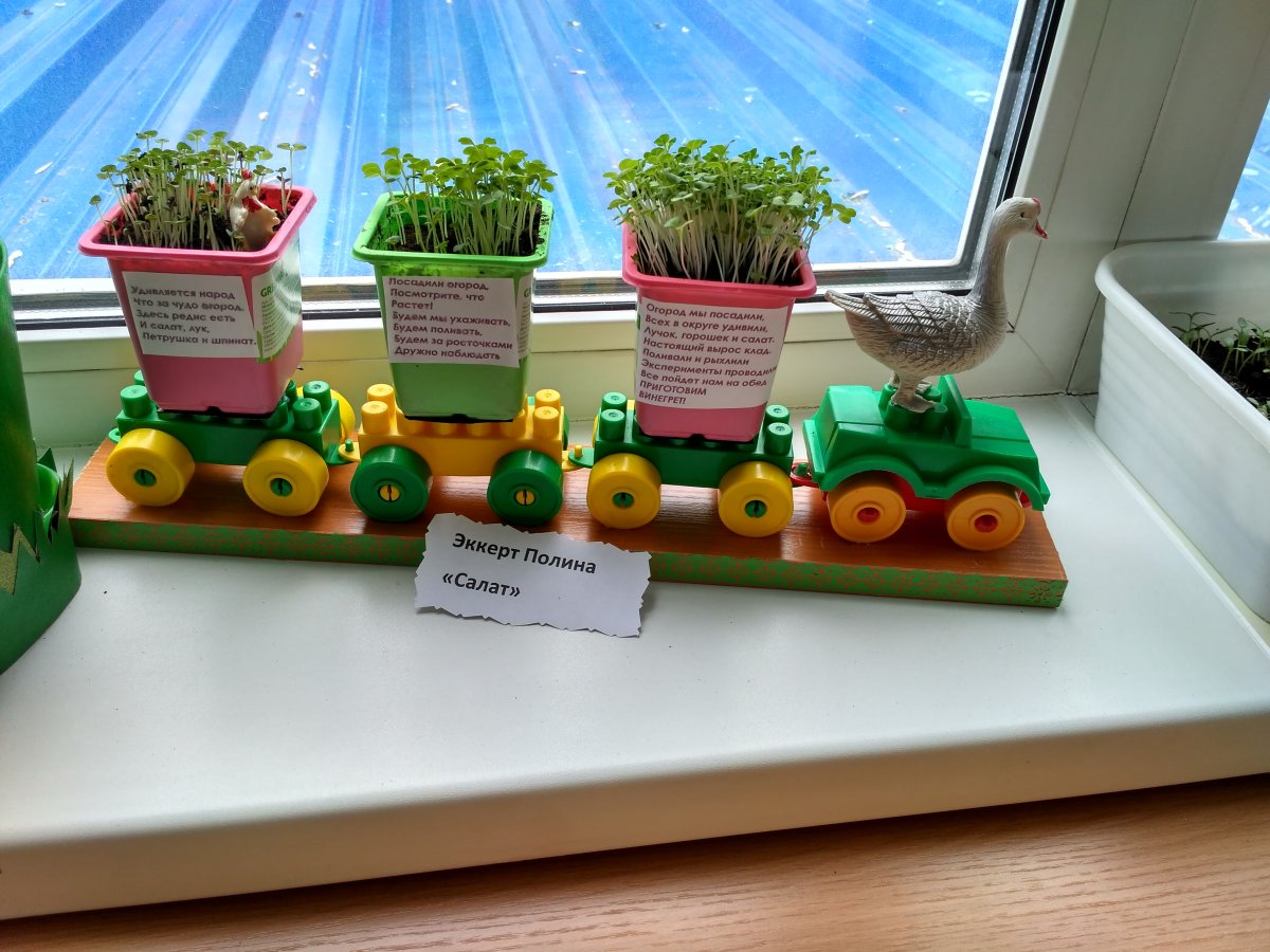 Огороогород на подоконнике