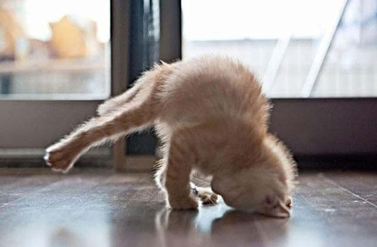 Позитивные фразы