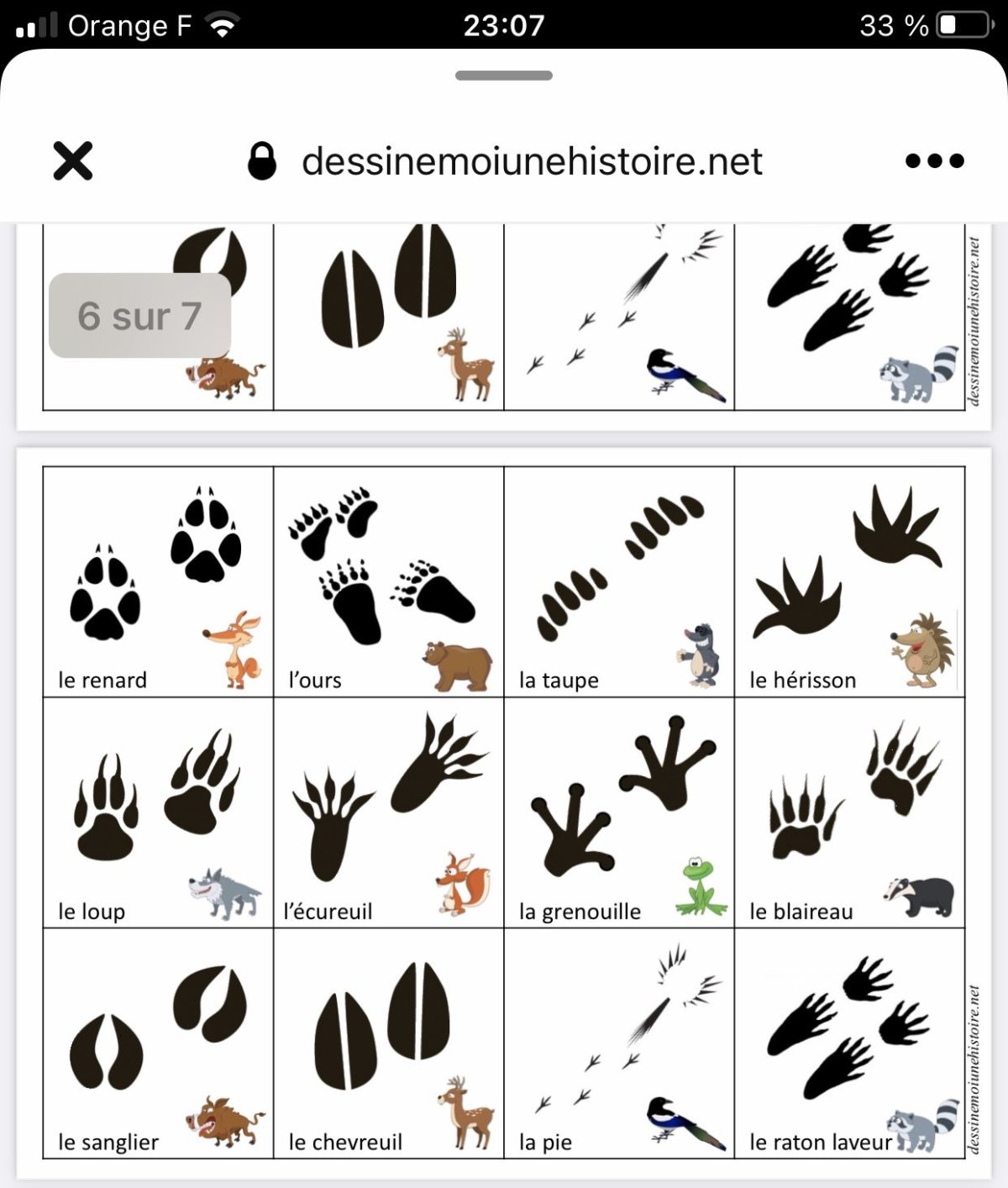 Дидактическая игра чьи следы Дикие животные