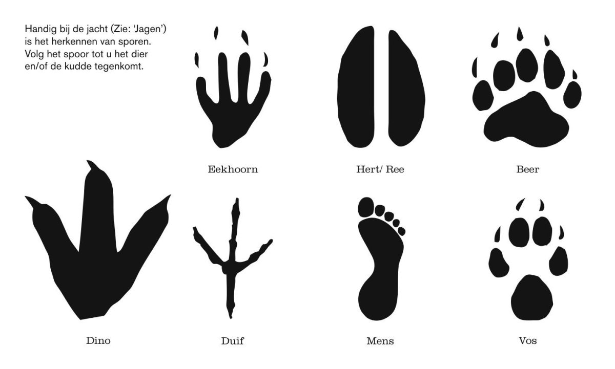Следы животных похожи на цифры