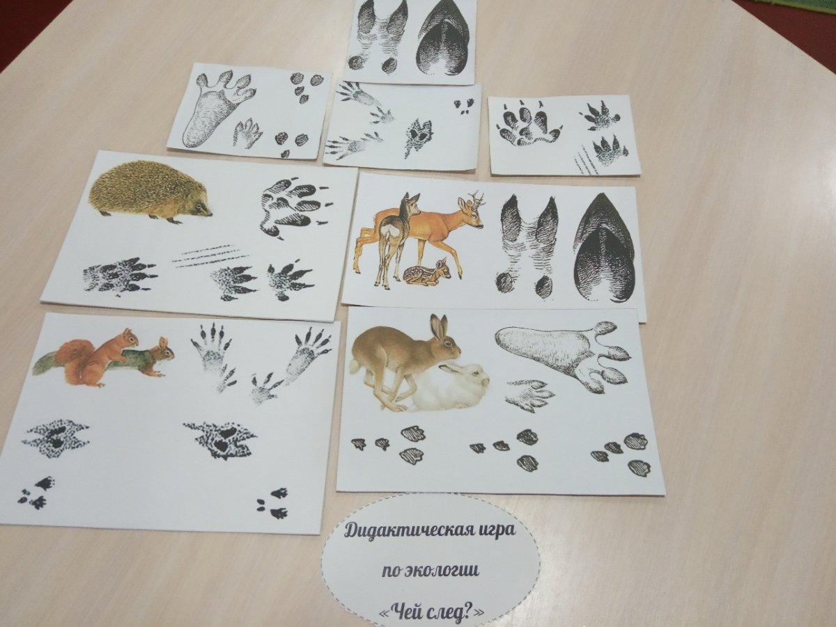 Задания для детей чьи следы