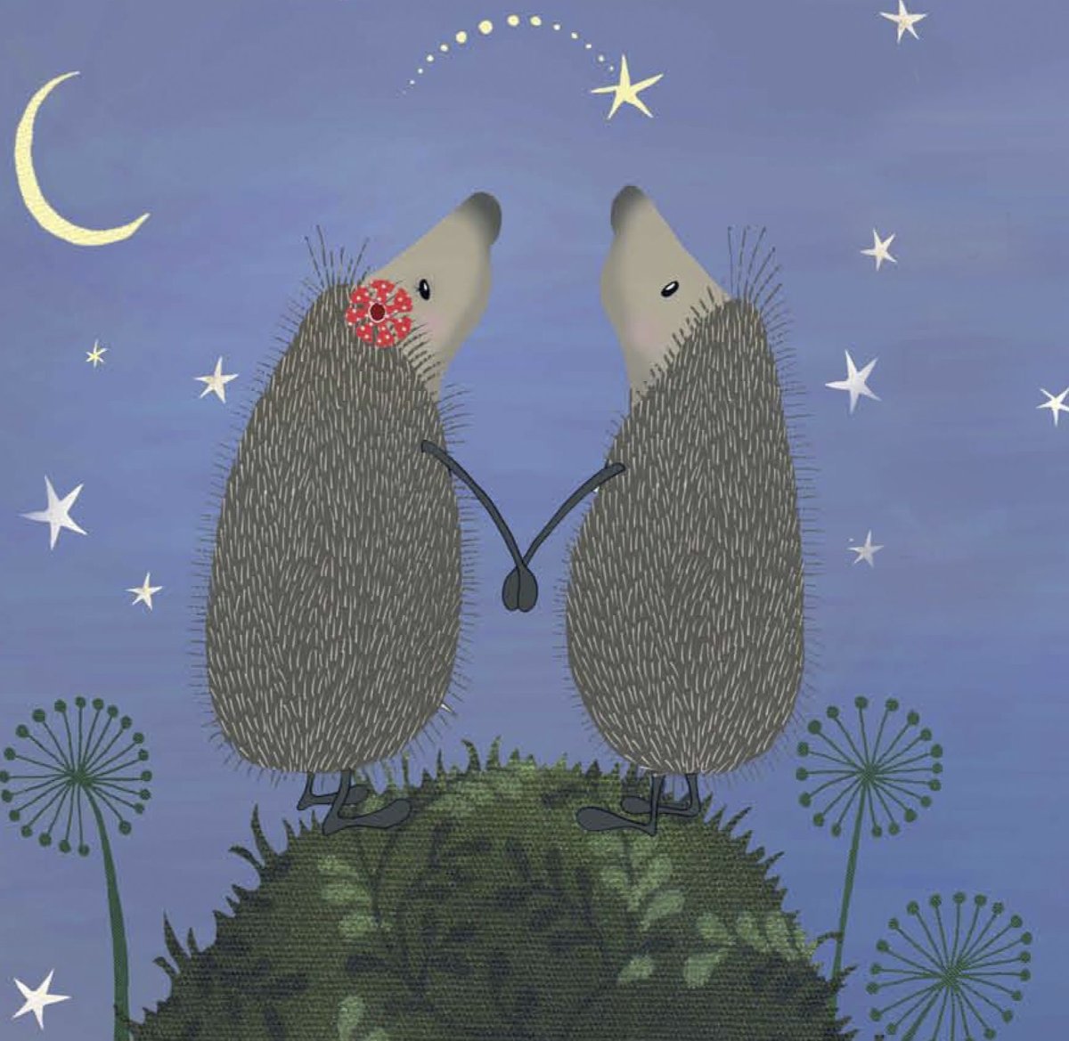 Ежик и звезда