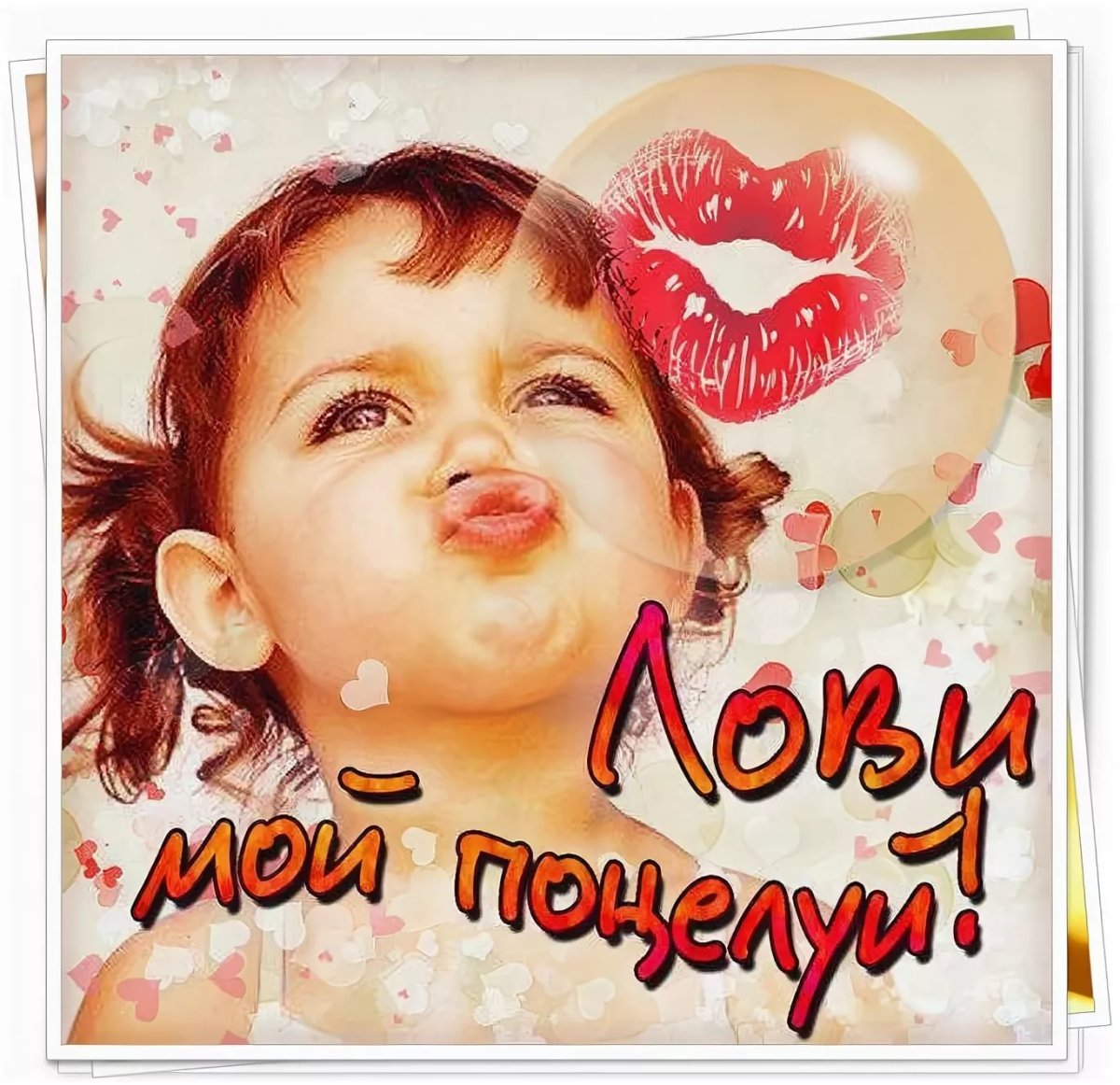 Котик мой любимый