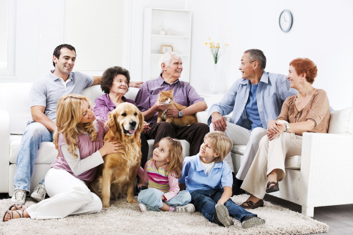 Дружная семья