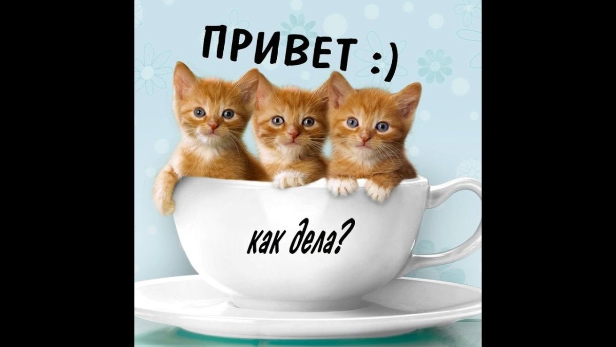 Приколы с именем Наташа