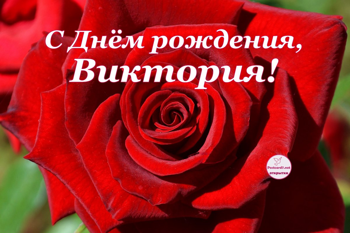 Прикольные поздравления с днем рождения ребенку