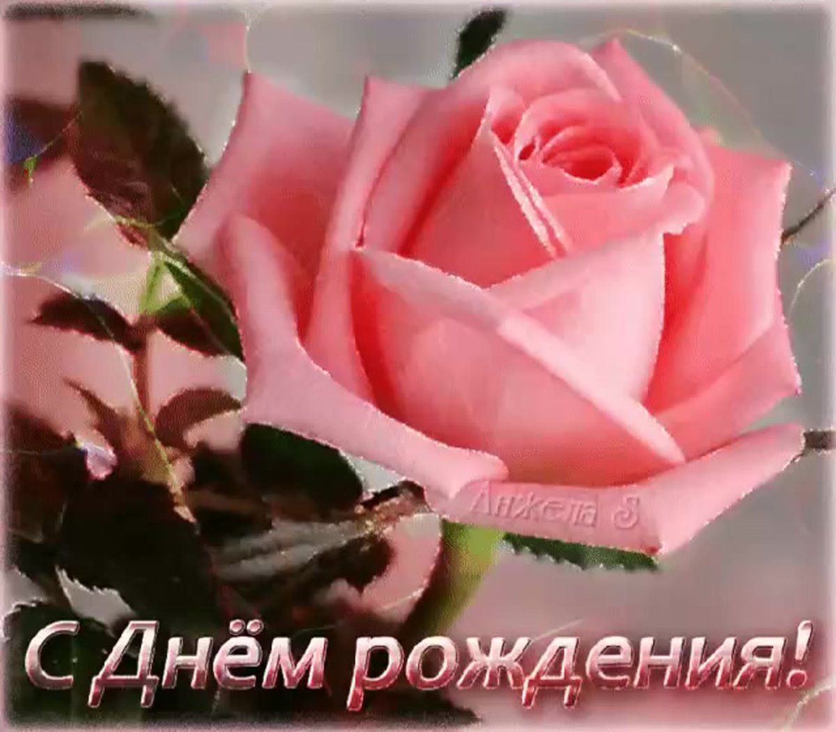 С днём рождения Анастасия