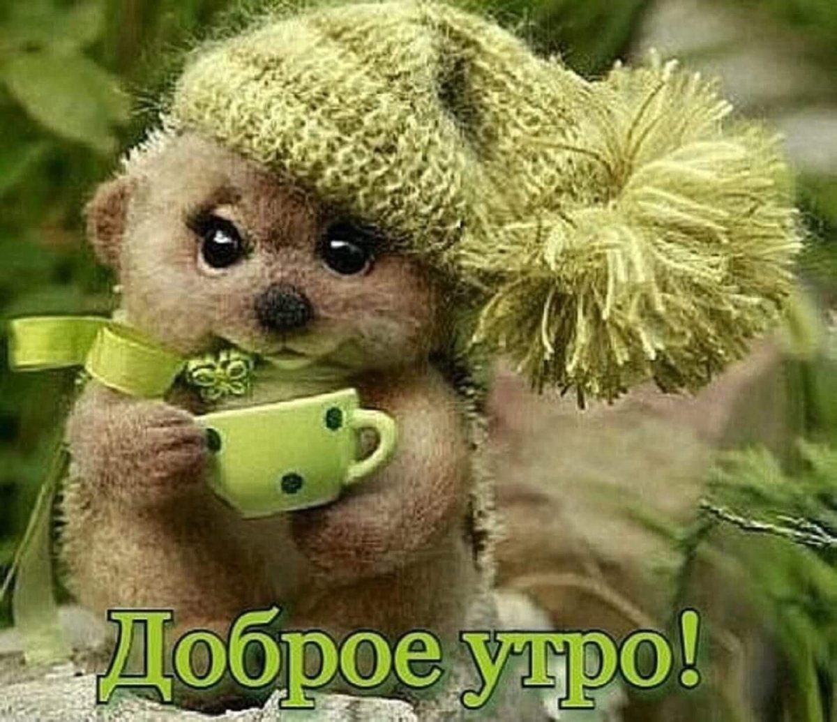 Хорошего дня и отличного настроения любимому