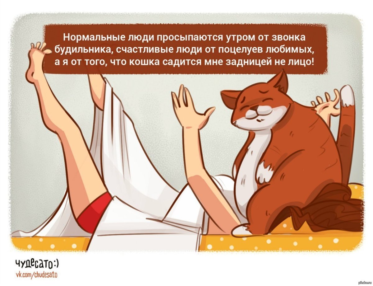 Завтрак в постель от мужчины