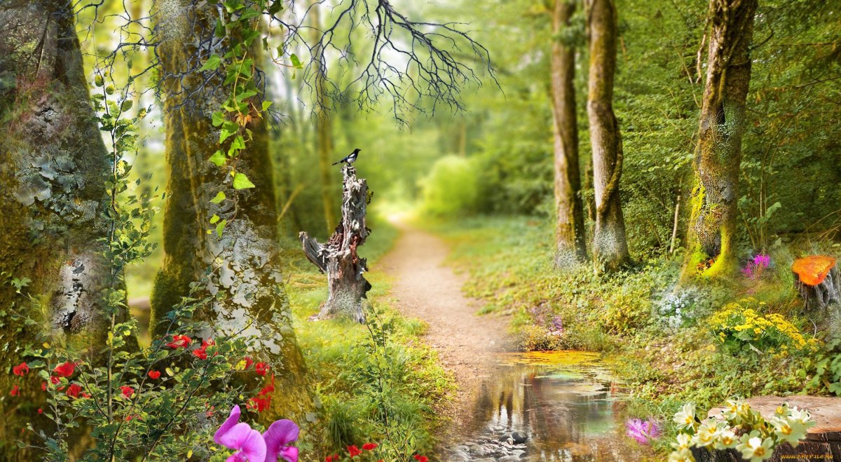 Рисунки природы