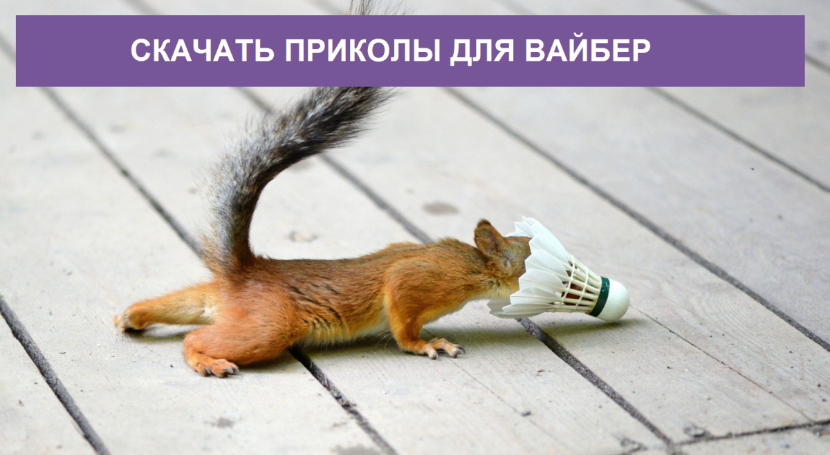 Юмор для вайбера