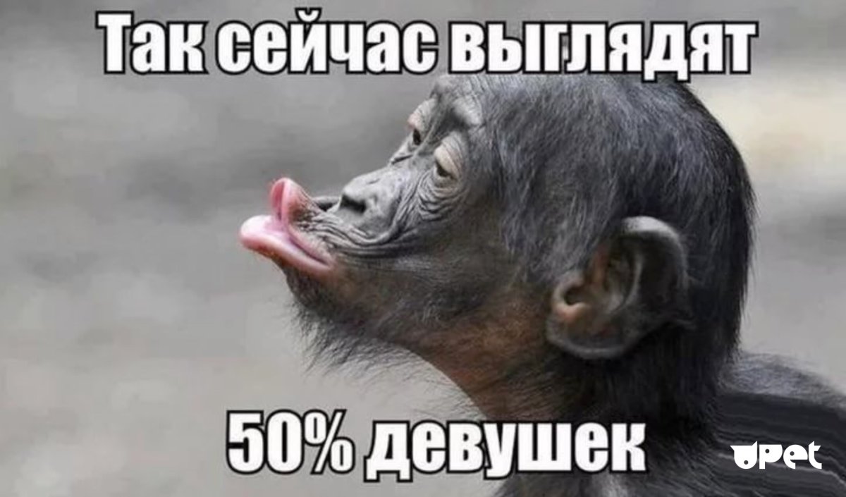 Парню для поднятия настроения