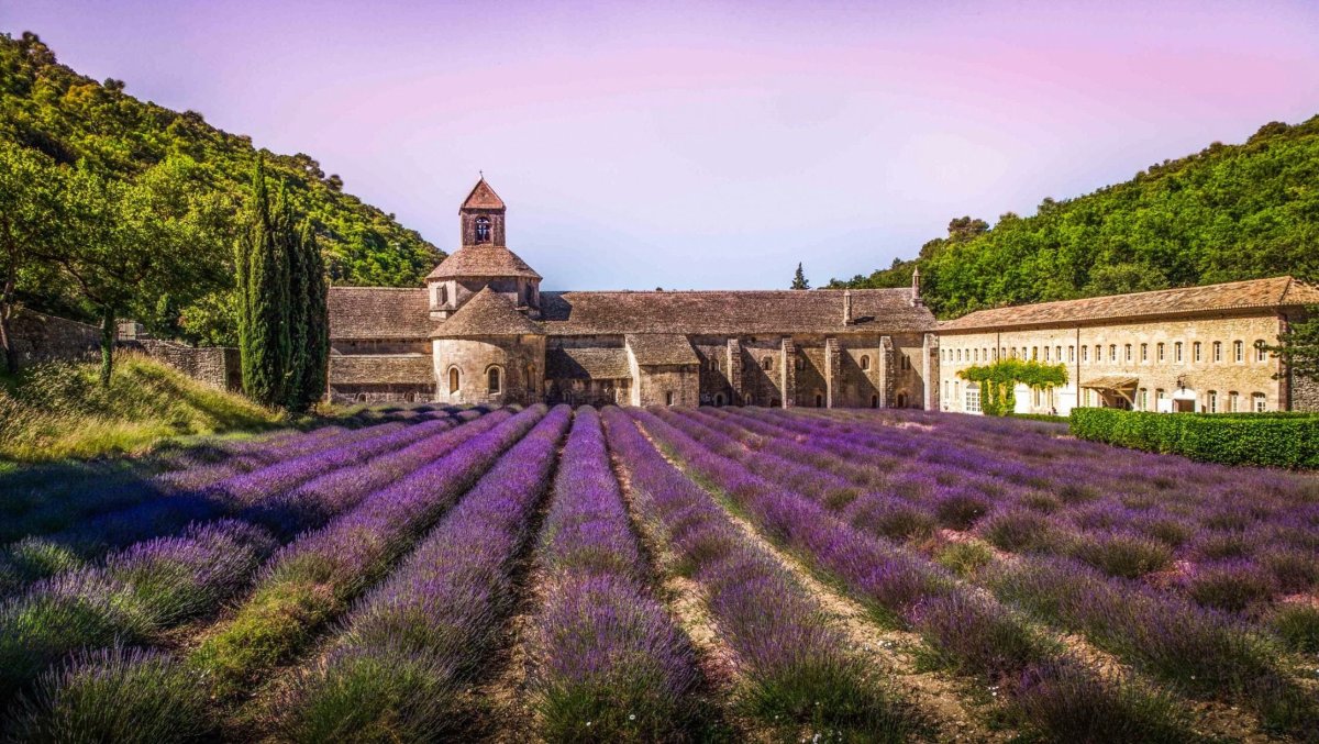Аббатство Сенанк в Провансе