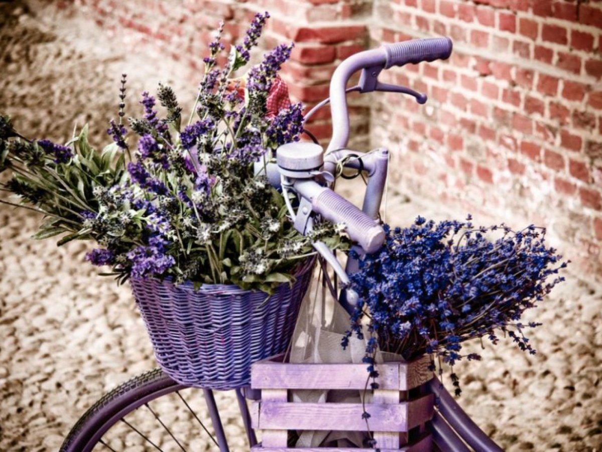 Стиль лавандовый Прованс