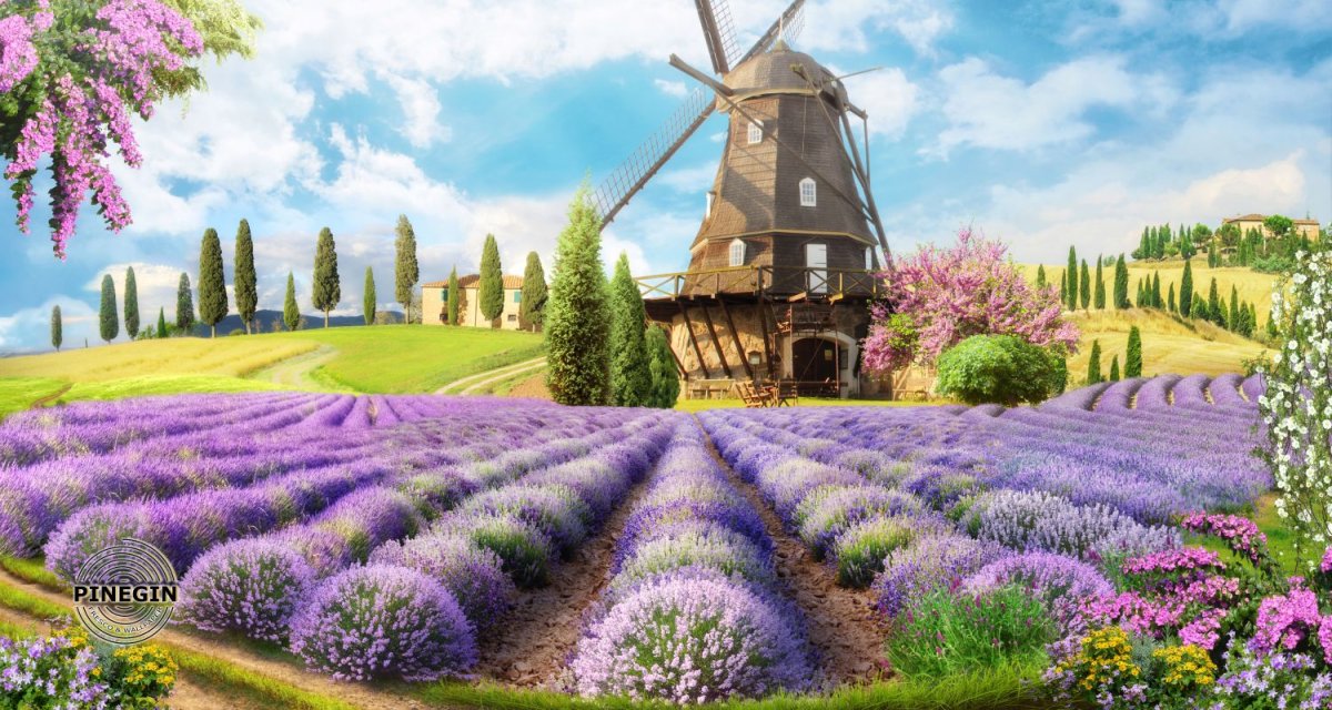 Прованс с мельницей и лавандой