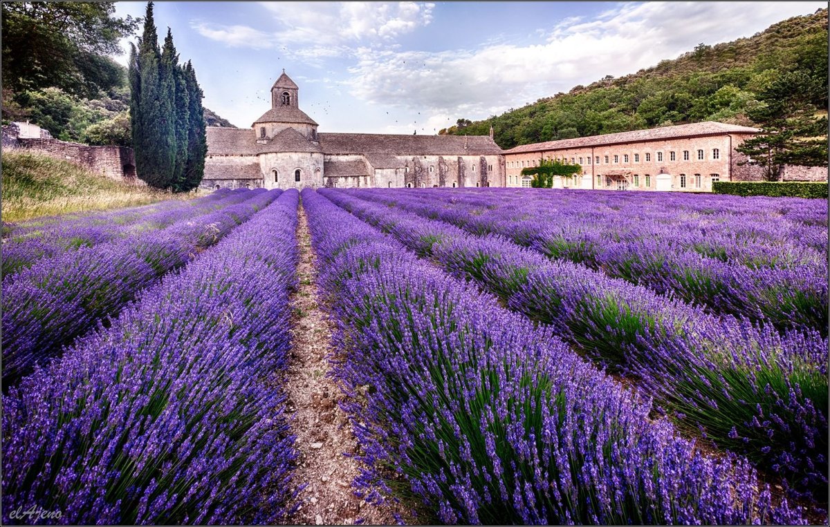 Монастырь Сенанк в Провансе