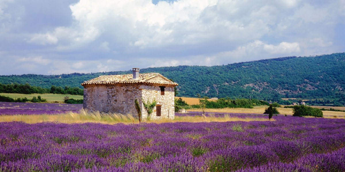 Провинция Провансаль Франция