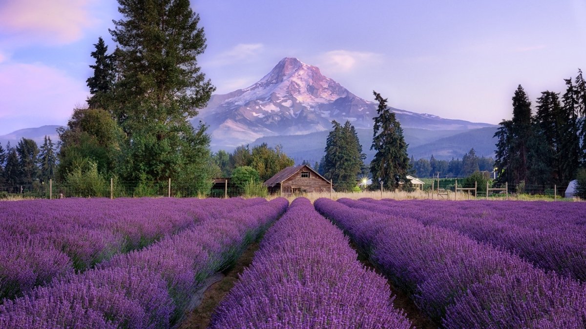 Прованс таинственность фото