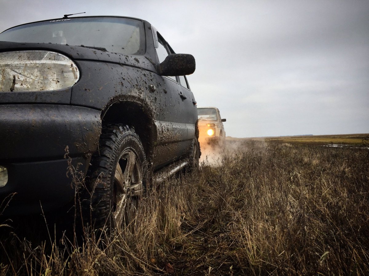 Нива джиппинг