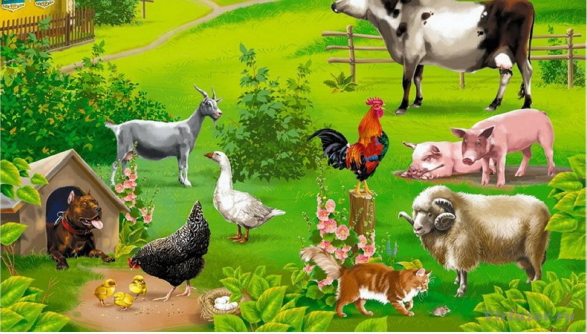 Домашние животные