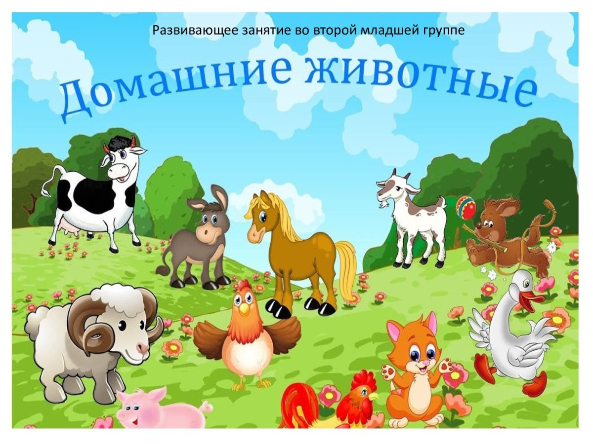Домашние животные младшая группа