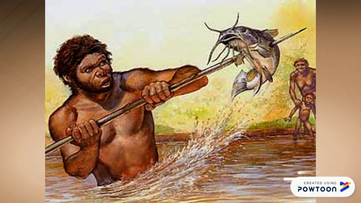 Хомо сапиенс охотники собиратели