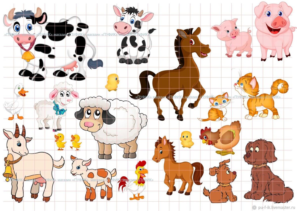 Животные фермы на белом фоне