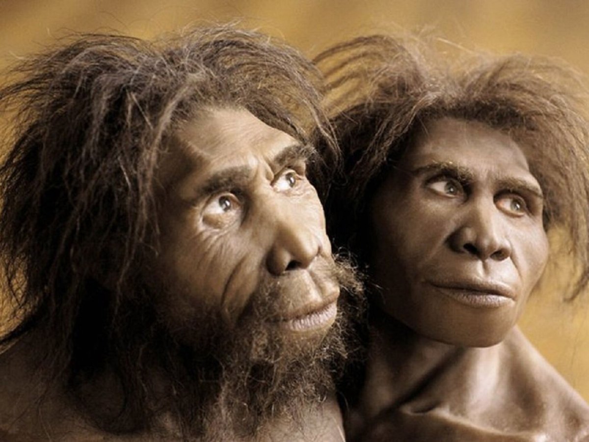 Человек Гейдельбергский homo