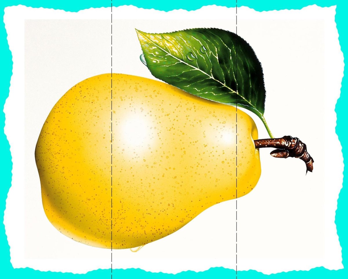 Фрукты для детей вектор