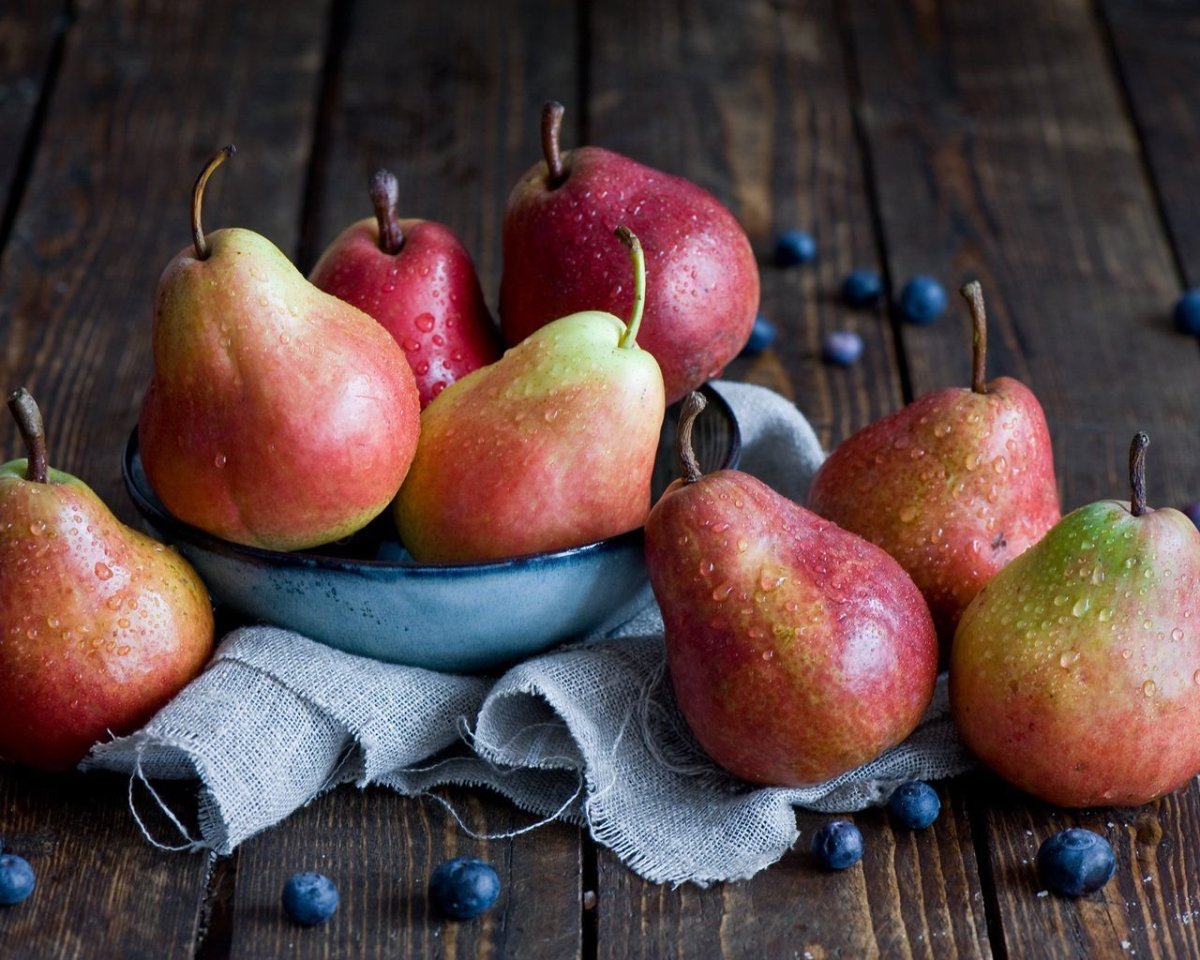 Яблоки и груши картинки для детей