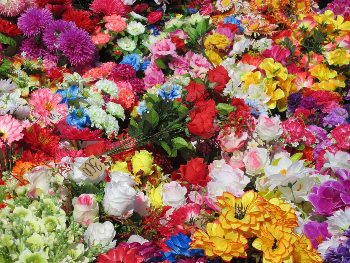 Много разных цветов