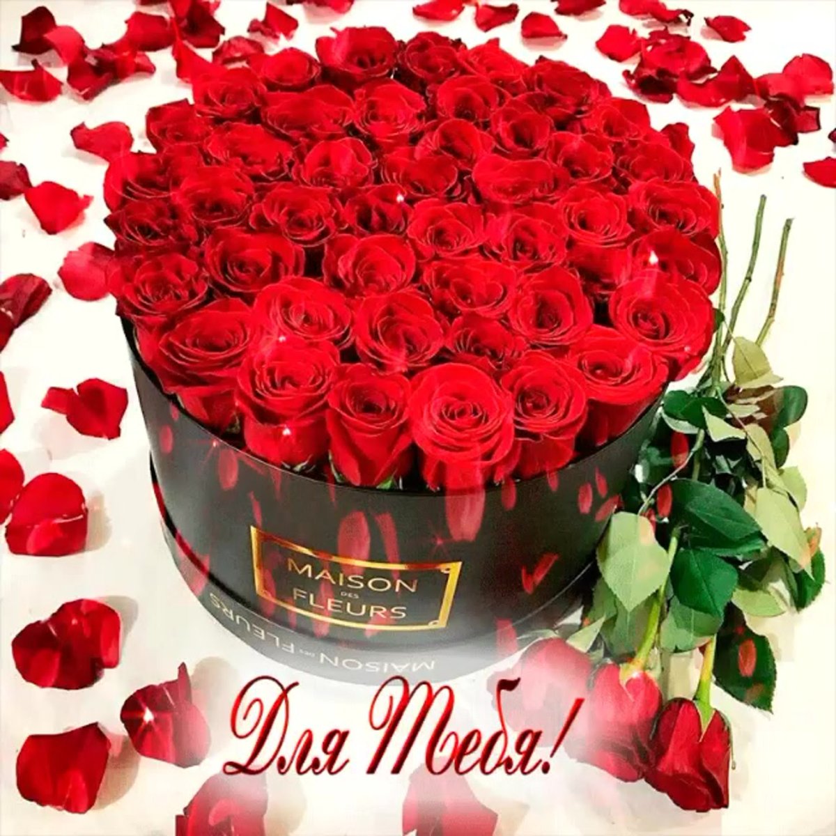 Моей любимой девочке